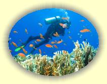 IMG_2007_05_29 14_23_54 * 3072 x 2304 * (778KB)